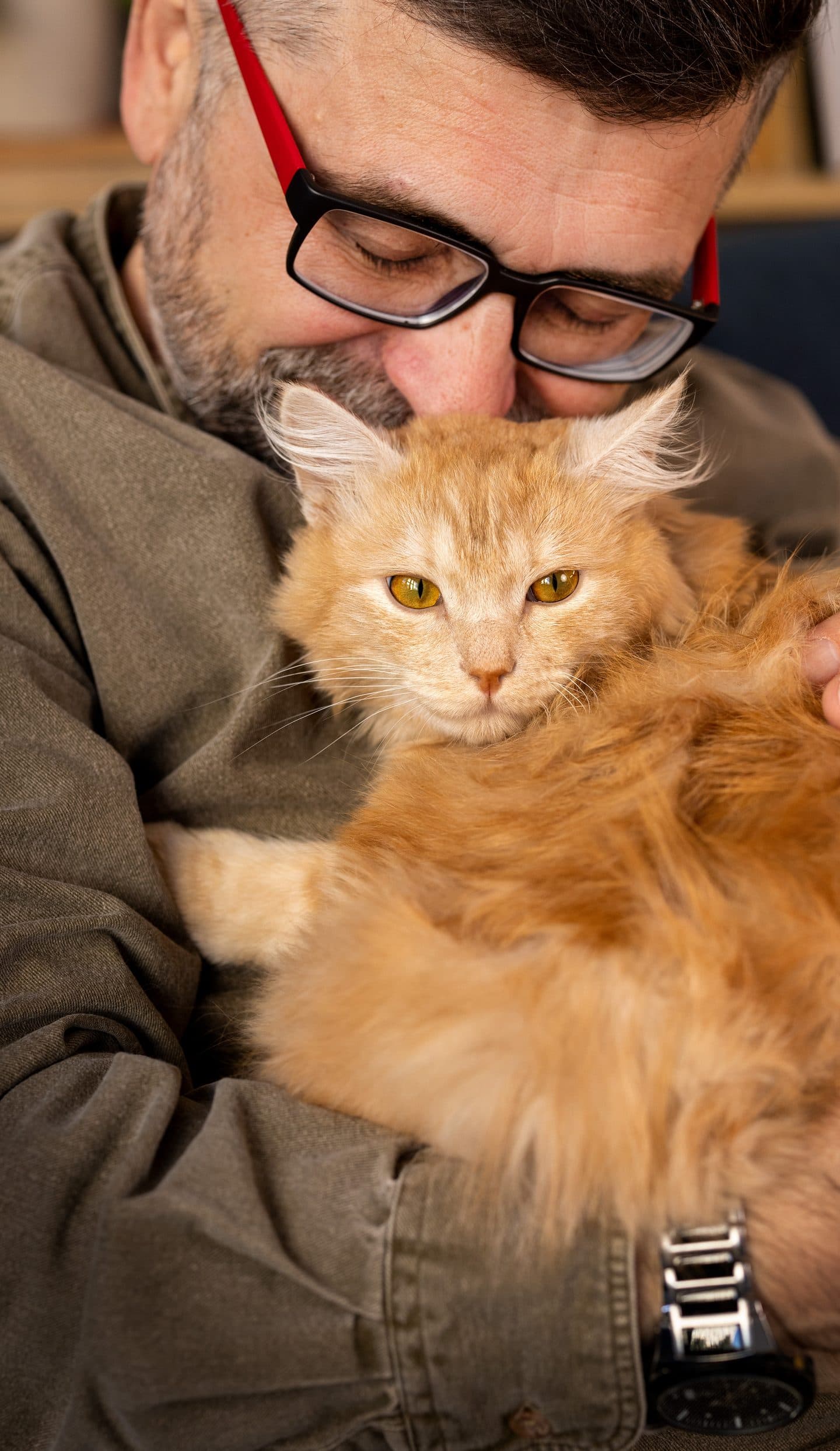 Un hombre abraza a su gato naranja